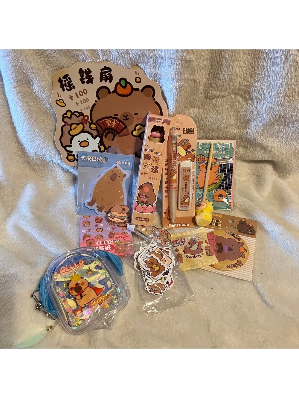 Capybara stationery gift set in zip pouch